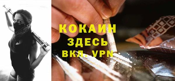 кокс Белокуриха