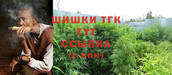 кокс Белокуриха